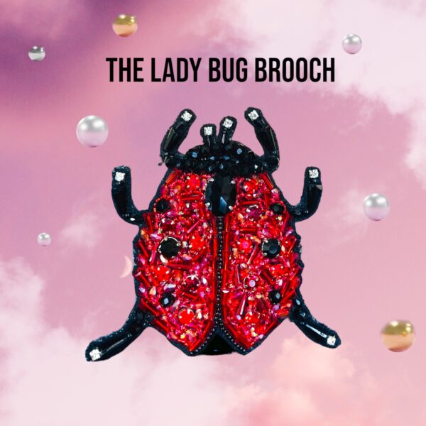 Ladybug brooch