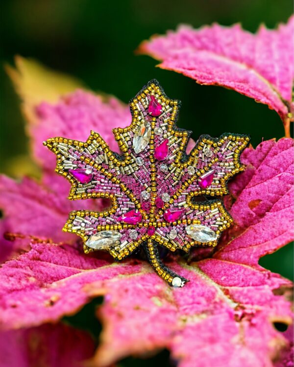 Pink maple leaf